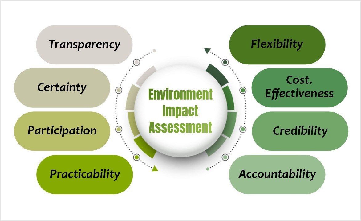 Impact Assessment